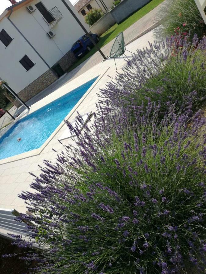House Kalepin Apartment Bibinje Luaran gambar